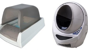 best automatic litter box