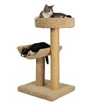 simple sleeper cat scratch