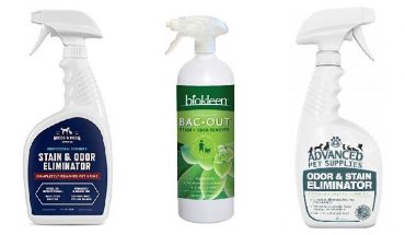 Best Cat Urine Remover